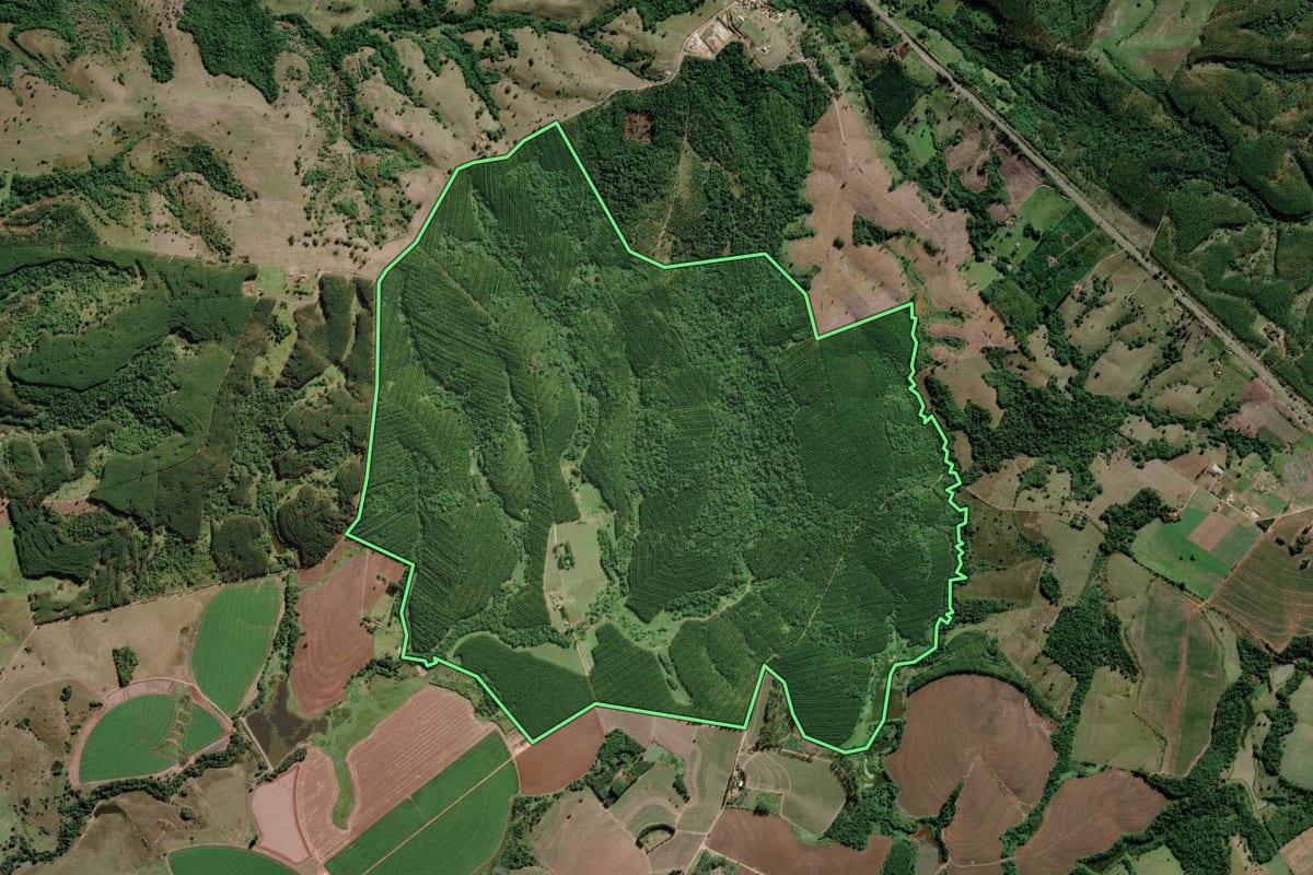 Imagem de satélite do imóvel rural em Paranapanema (SP), com o contorno declarado no CAR desenhado por cima.