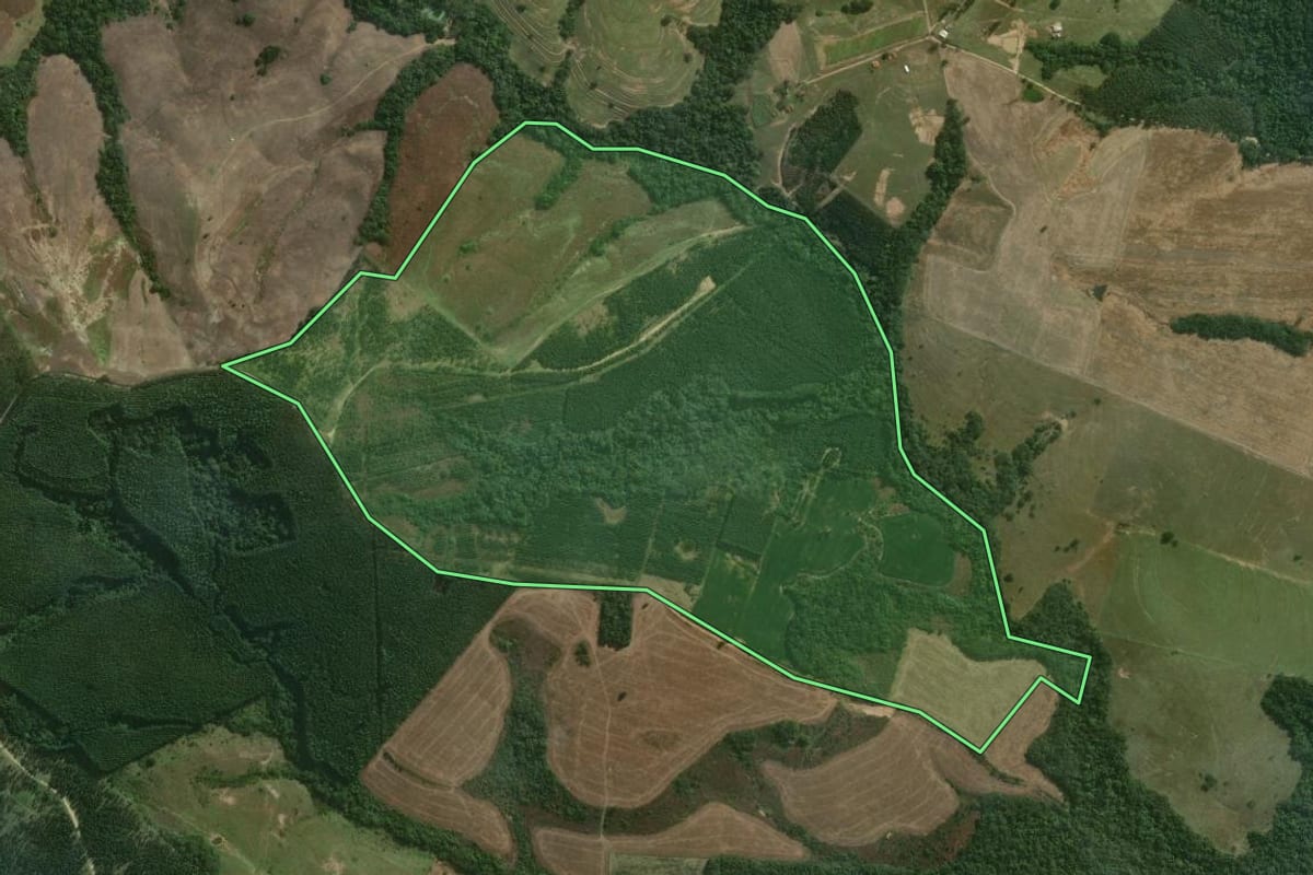 Imagem de satélite do imóvel rural em Paranapanema (SP), com o contorno declarado no CAR desenhado por cima.