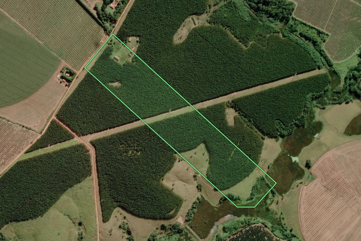 Imagem de satélite do imóvel rural em Paranapanema (SP), com o contorno declarado no CAR desenhado por cima.