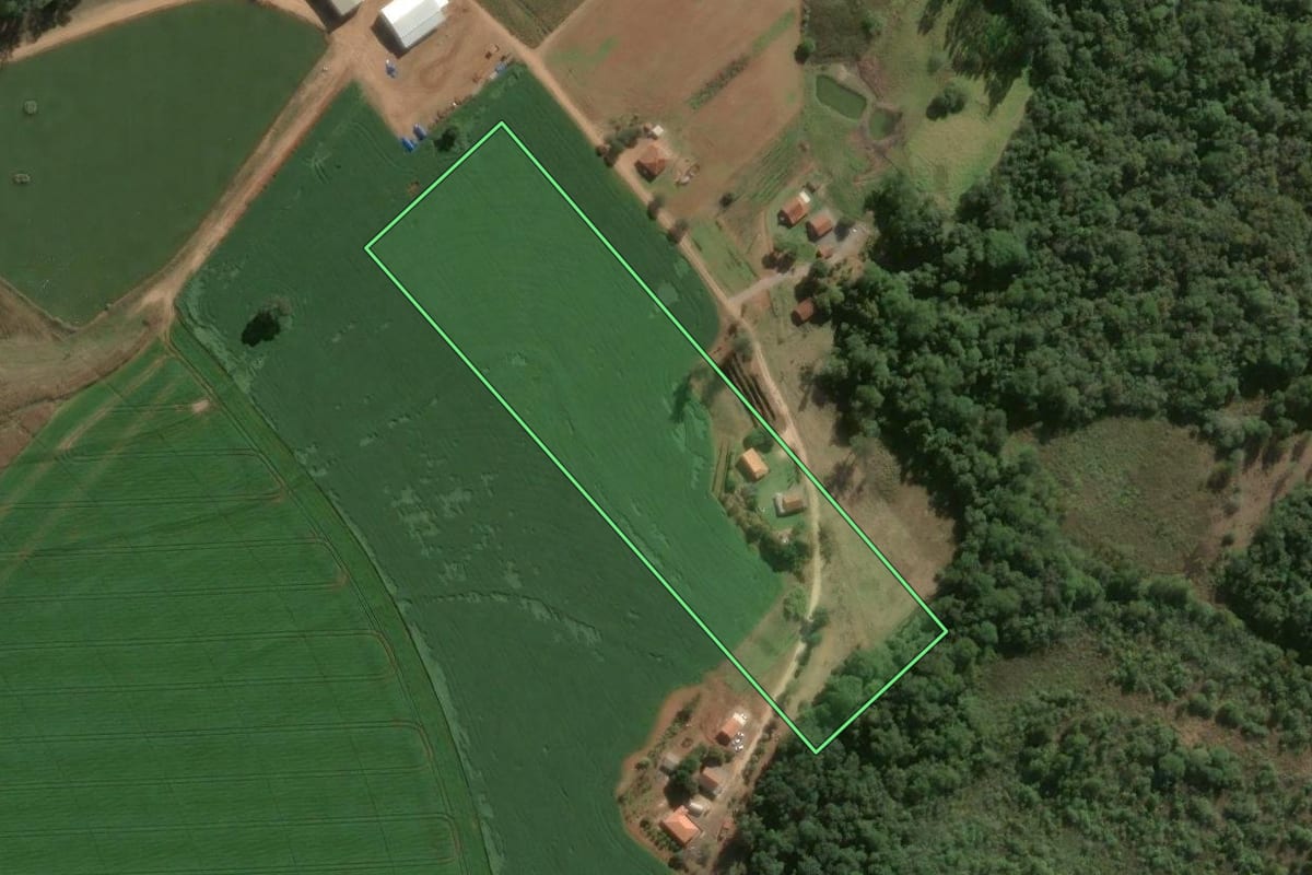 Imagem de satélite do imóvel rural em Paranapanema (SP), com o contorno declarado no CAR desenhado por cima.
