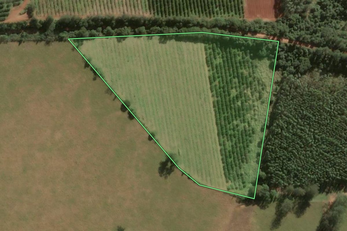Imagem de satélite do imóvel rural em Paranapanema (SP), com o contorno declarado no CAR desenhado por cima.