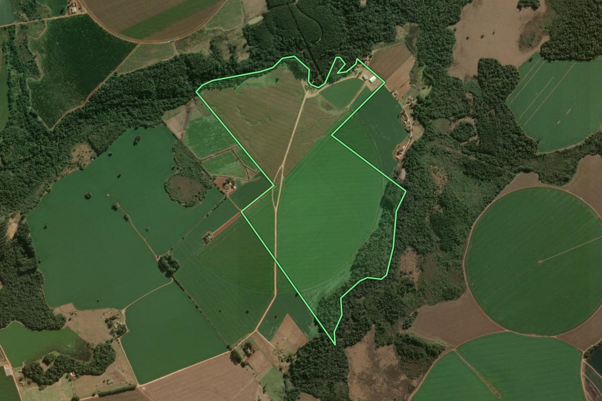 Imagem de satélite do imóvel rural em Paranapanema (SP), com o contorno declarado no CAR desenhado por cima.