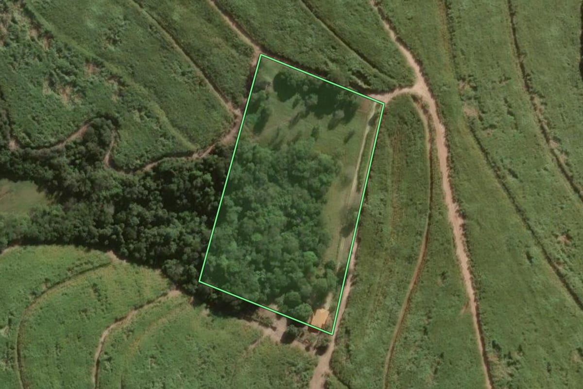 Imagem de satélite do imóvel rural em Paranapanema (SP), com o contorno declarado no CAR desenhado por cima.