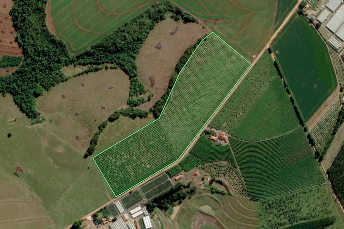 Imagem de satélite do imóvel rural em Paranapanema (SP), com o contorno declarado no CAR desenhado por cima.