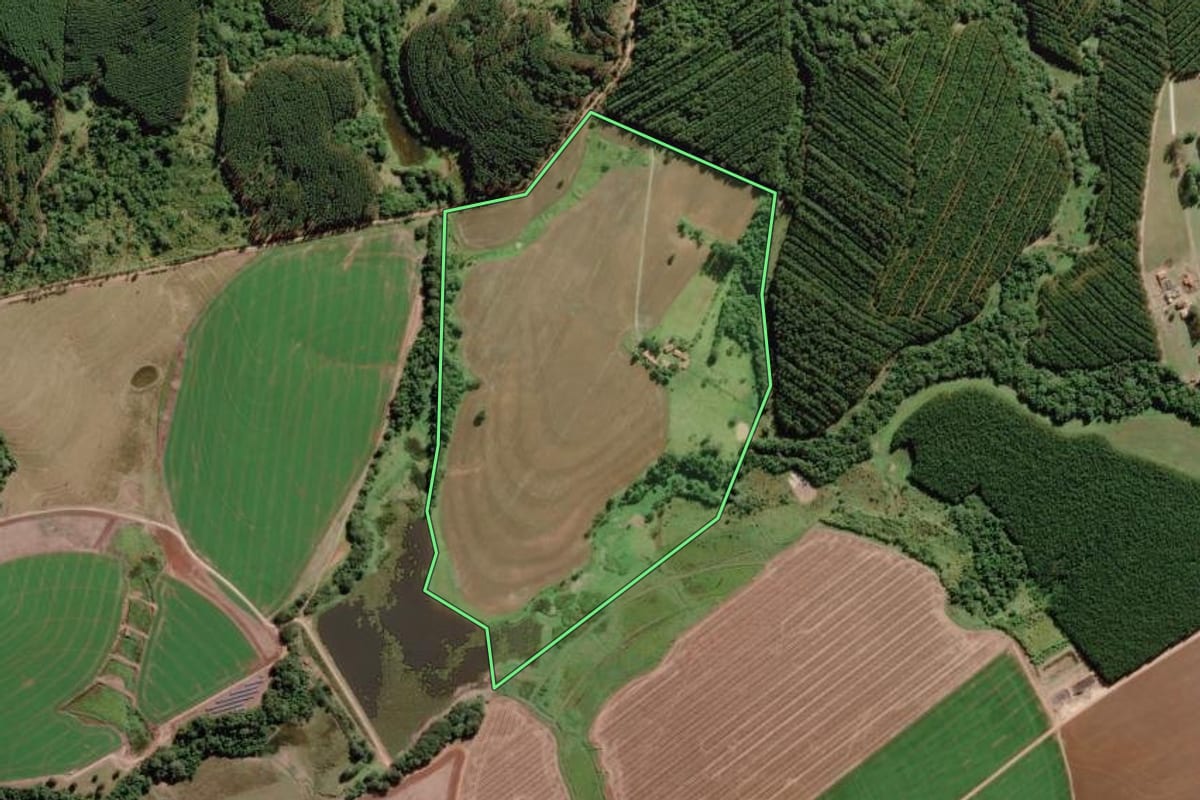 Imagem de satélite do imóvel rural em Paranapanema (SP), com o contorno declarado no CAR desenhado por cima.
