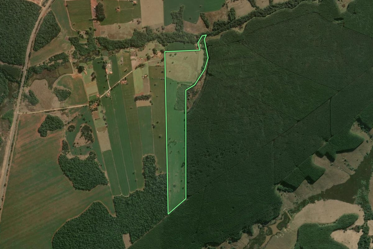 Imagem de satélite do imóvel rural em Paranapanema (SP), com o contorno declarado no CAR desenhado por cima.