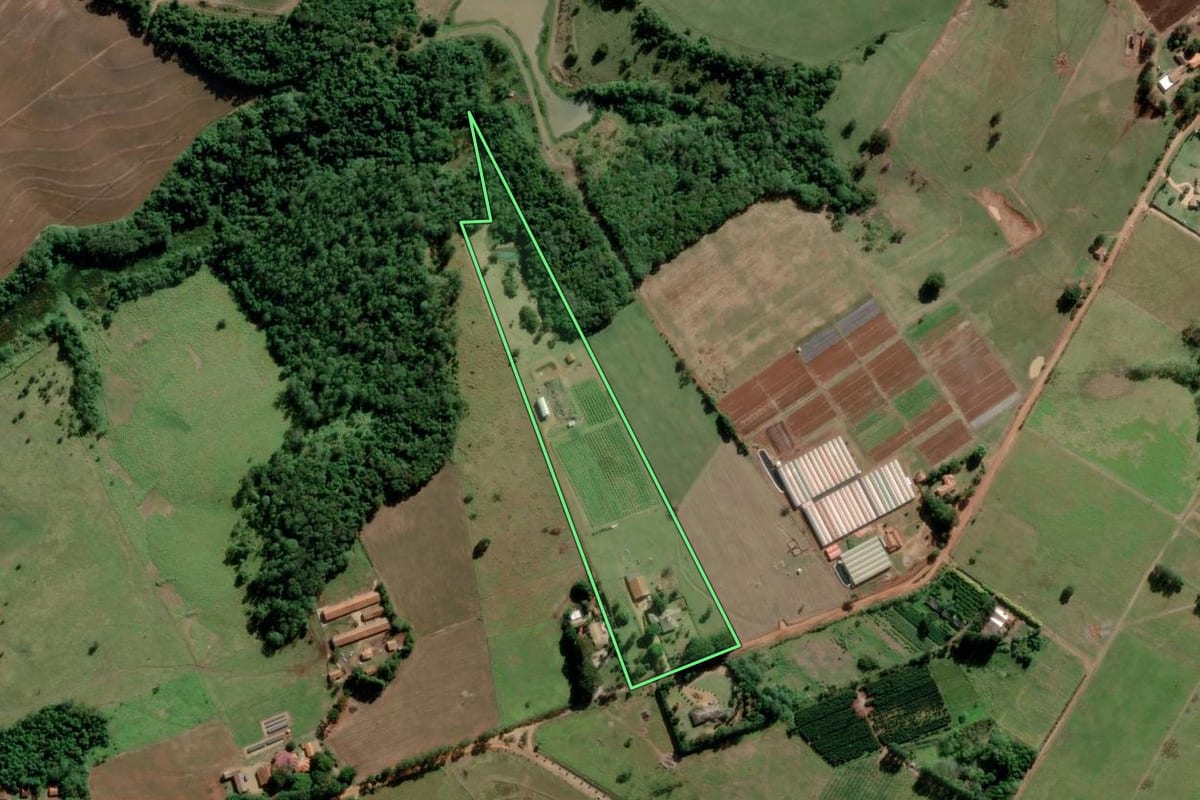 Imagem de satélite do imóvel rural em Paranapanema (SP), com o contorno declarado no CAR desenhado por cima.