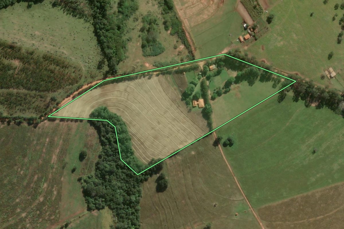 Imagem de satélite do imóvel rural em Paranapanema (SP), com o contorno declarado no CAR desenhado por cima.