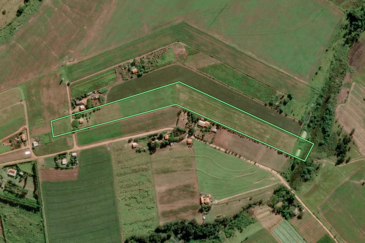 Imagem de satélite do imóvel rural em Paranapanema (SP), com o contorno declarado no CAR desenhado por cima.