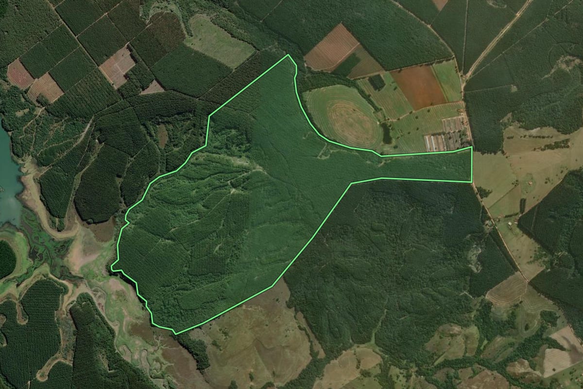 Imagem de satélite do imóvel rural em Paranapanema (SP), com o contorno declarado no CAR desenhado por cima.