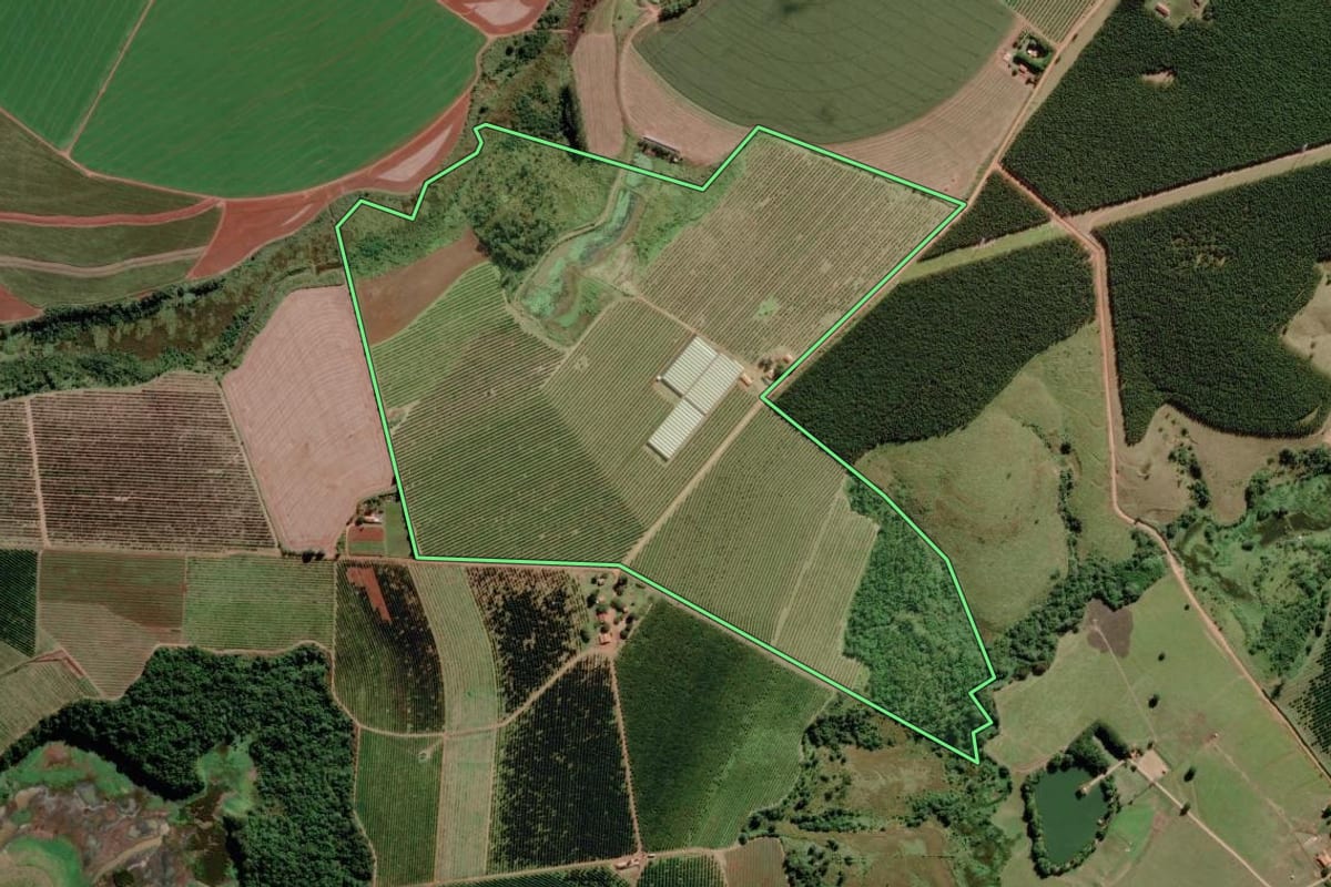 Imagem de satélite do imóvel rural em Paranapanema (SP), com o contorno declarado no CAR desenhado por cima.