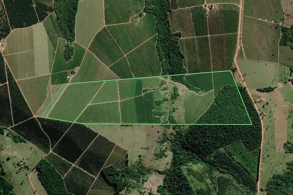 Imagem de satélite do imóvel rural em Paranapanema (SP), com o contorno declarado no CAR desenhado por cima.