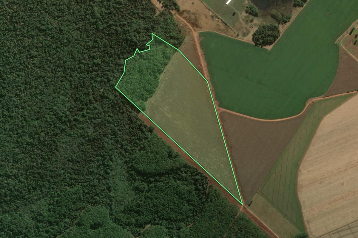 Imagem de satélite do imóvel rural em Paranapanema (SP), com o contorno declarado no CAR desenhado por cima.