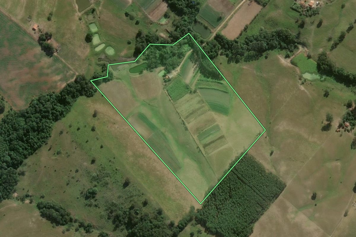 Imagem de satélite do imóvel rural em Paranapanema (SP), com o contorno declarado no CAR desenhado por cima.