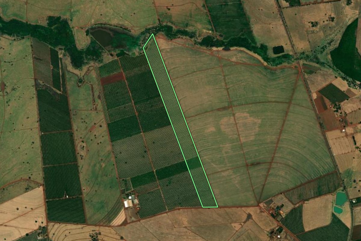 Imagem de satélite do imóvel rural em Paranapuã (SP), com o contorno declarado no CAR desenhado por cima.