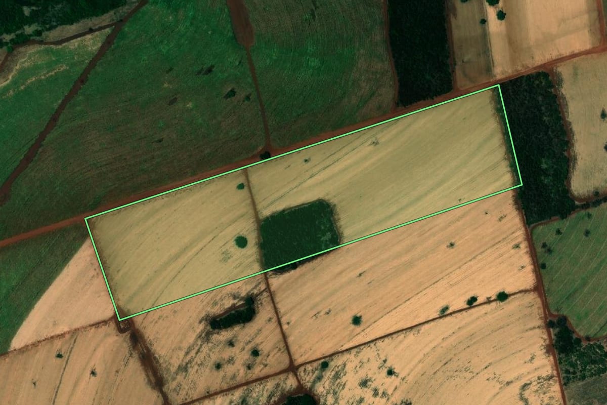 Imagem de satélite do imóvel rural em Paranapuã (SP), com o contorno declarado no CAR desenhado por cima.