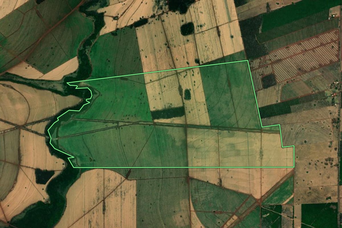Imagem de satélite do imóvel rural em Paranapuã (SP), com o contorno declarado no CAR desenhado por cima.