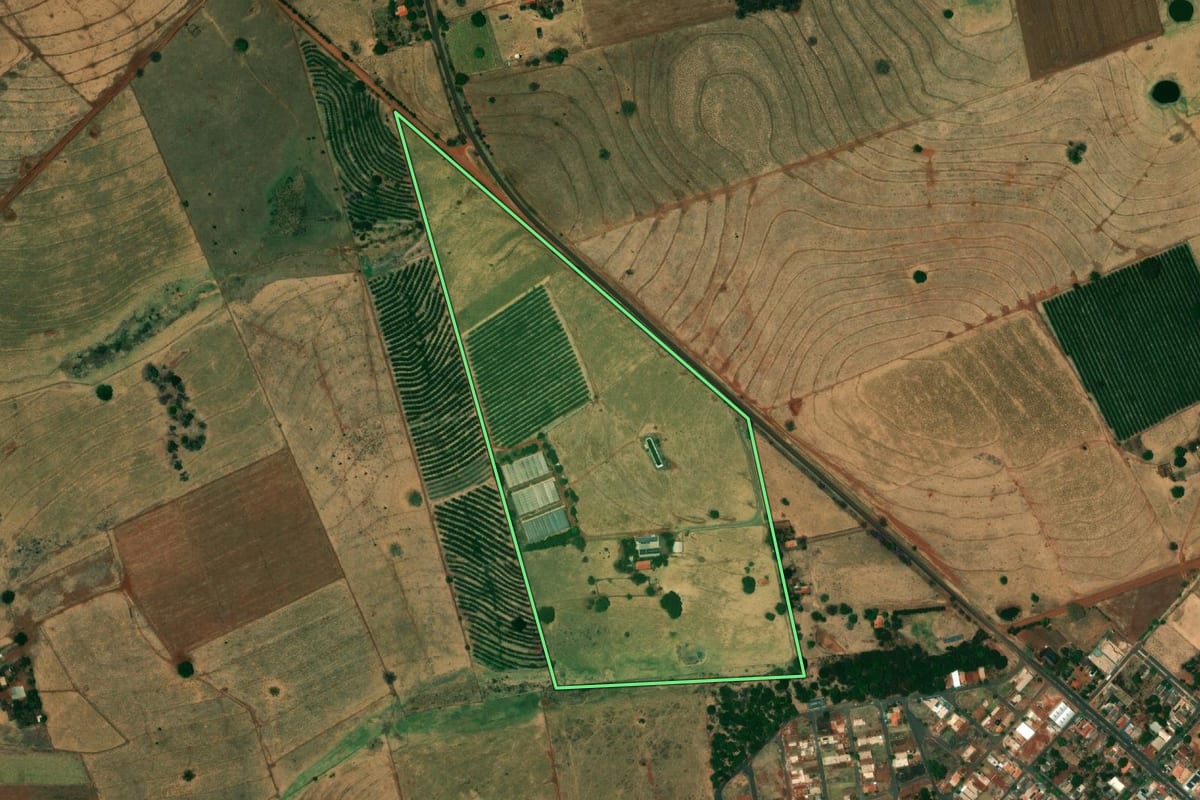 Imagem de satélite do imóvel rural em Paranapuã (SP), com o contorno declarado no CAR desenhado por cima.