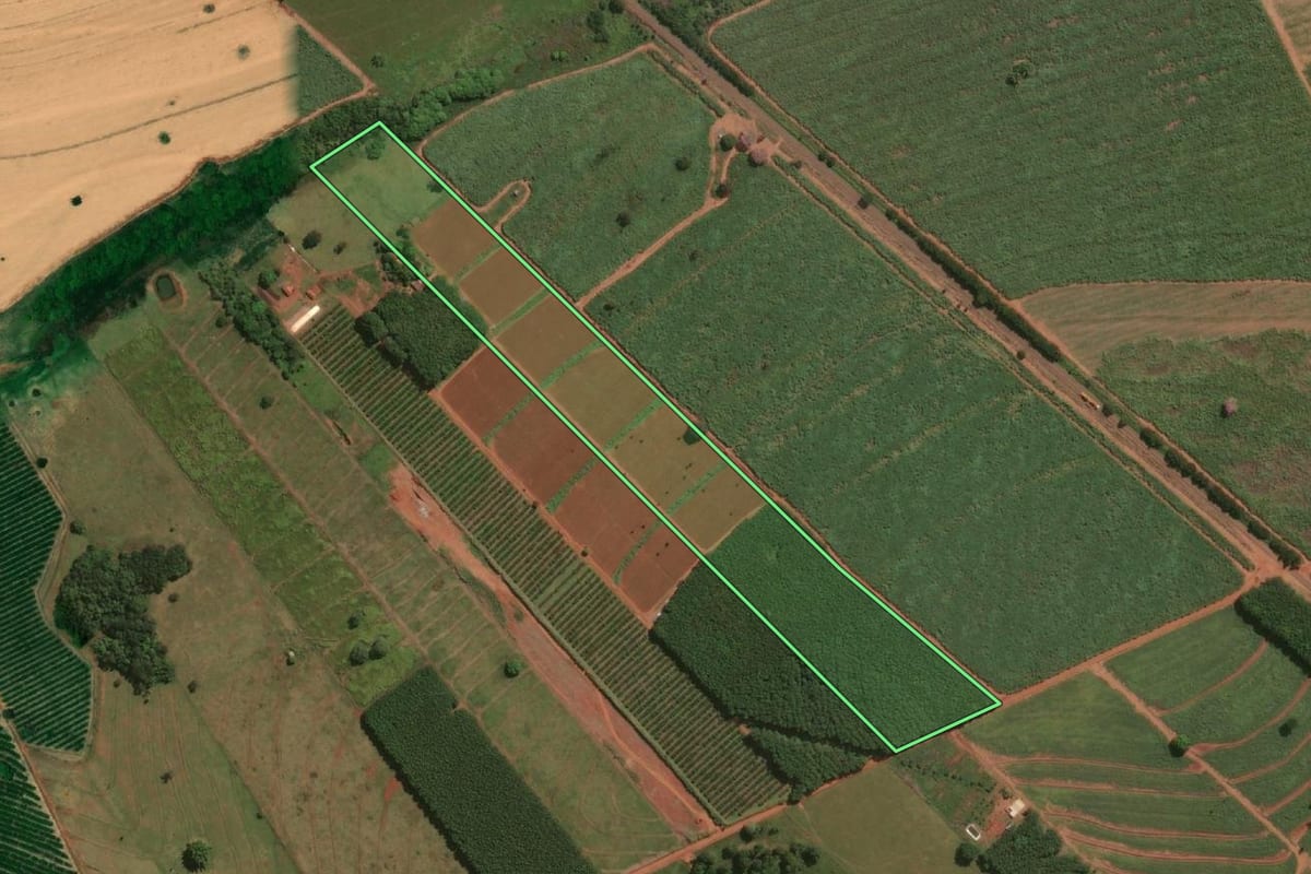 Imagem de satélite do imóvel rural em Paranapuã (SP), com o contorno declarado no CAR desenhado por cima.