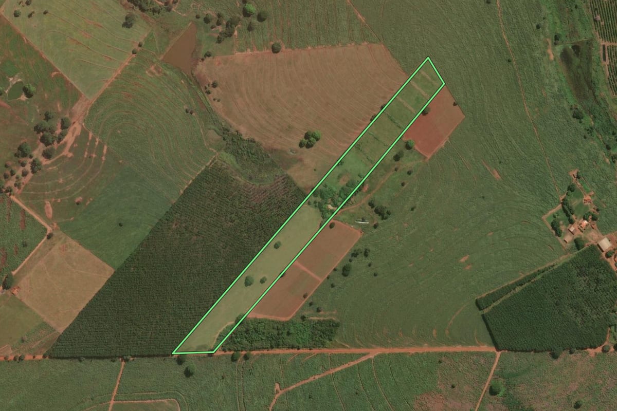 Imagem de satélite do imóvel rural em Paranapuã (SP), com o contorno declarado no CAR desenhado por cima.