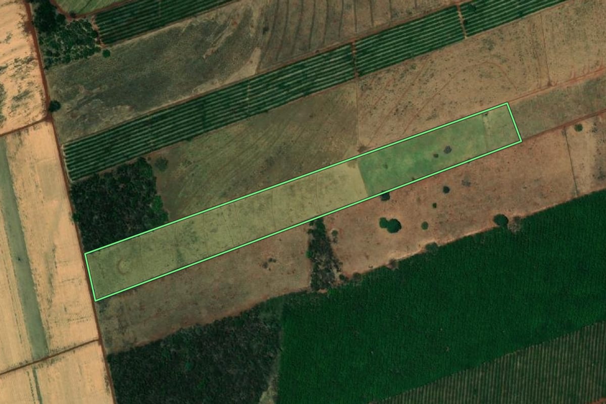 Imagem de satélite do imóvel rural em Paranapuã (SP), com o contorno declarado no CAR desenhado por cima.