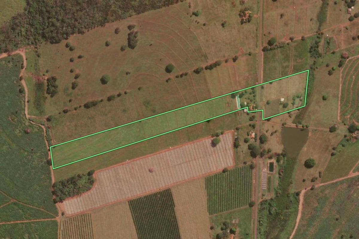 Imagem de satélite do imóvel rural em Paranapuã (SP), com o contorno declarado no CAR desenhado por cima.