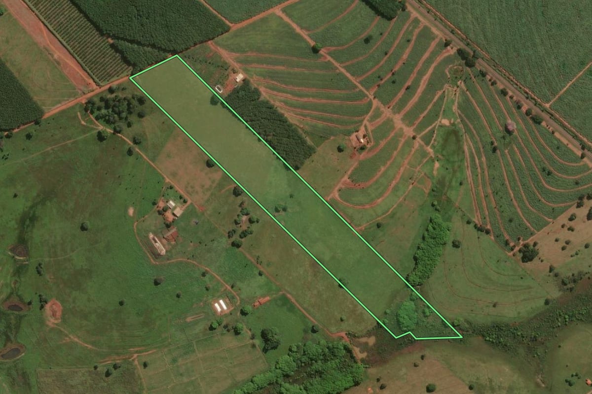 Imagem de satélite do imóvel rural em Paranapuã (SP), com o contorno declarado no CAR desenhado por cima.