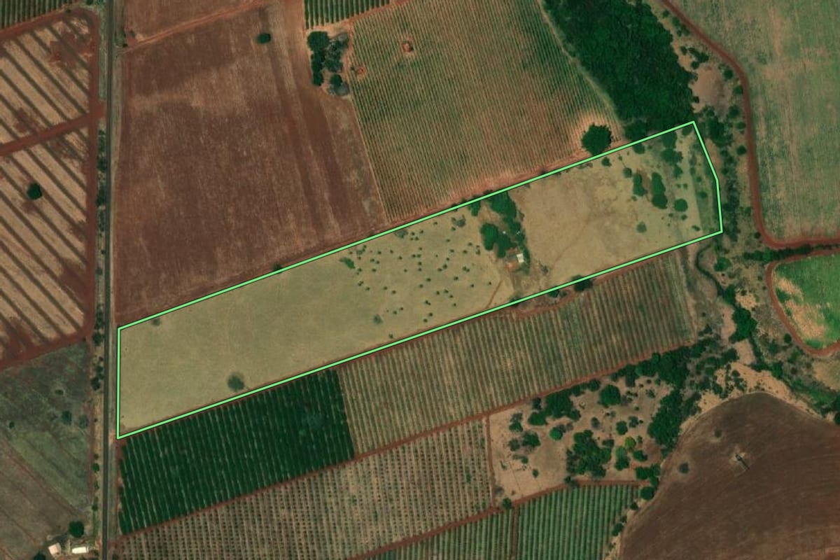 Imagem de satélite do imóvel rural em Paranapuã (SP), com o contorno declarado no CAR desenhado por cima.