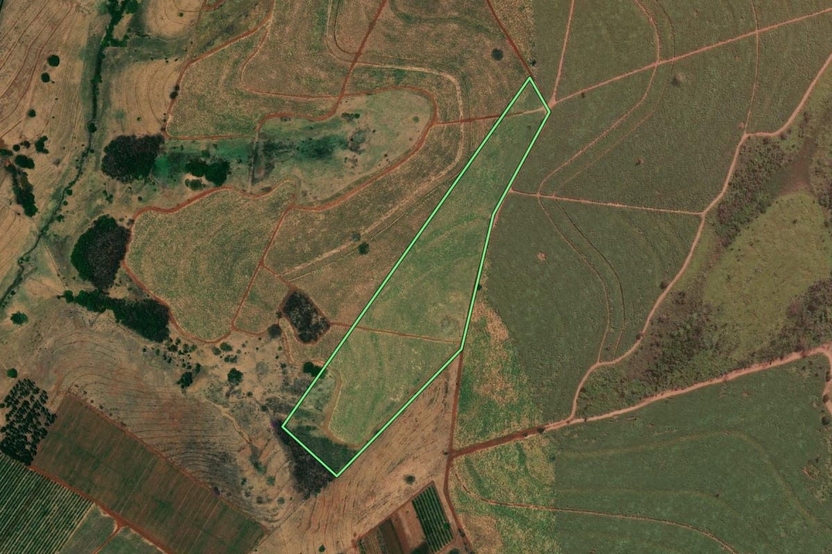 Imagem de satélite do imóvel rural em Paranapuã (SP), com o contorno declarado no CAR desenhado por cima.