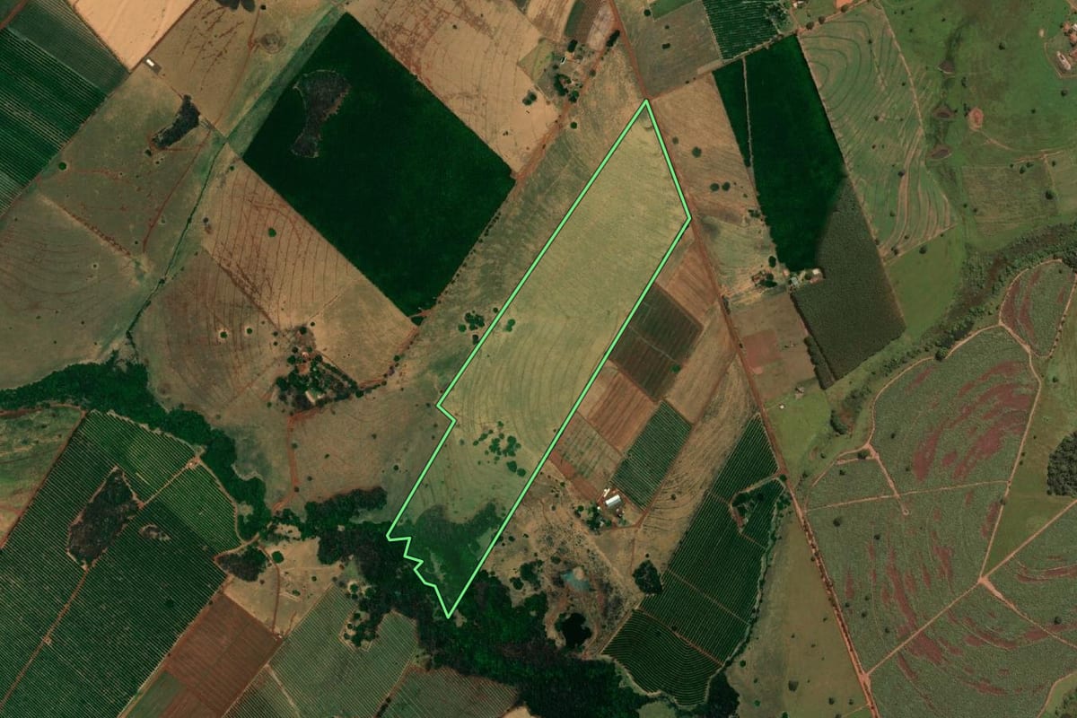 Imagem de satélite do imóvel rural em Paranapuã (SP), com o contorno declarado no CAR desenhado por cima.