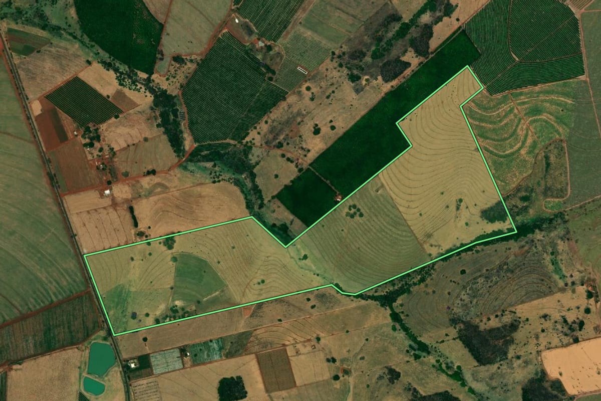 Imagem de satélite do imóvel rural em Paranapuã (SP), com o contorno declarado no CAR desenhado por cima.