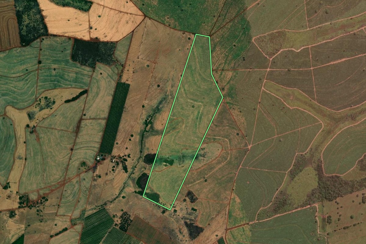 Imagem de satélite do imóvel rural em Paranapuã (SP), com o contorno declarado no CAR desenhado por cima.