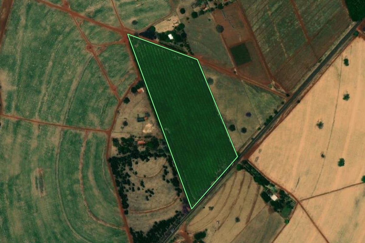 Imagem de satélite do imóvel rural em Paranapuã (SP), com o contorno declarado no CAR desenhado por cima.