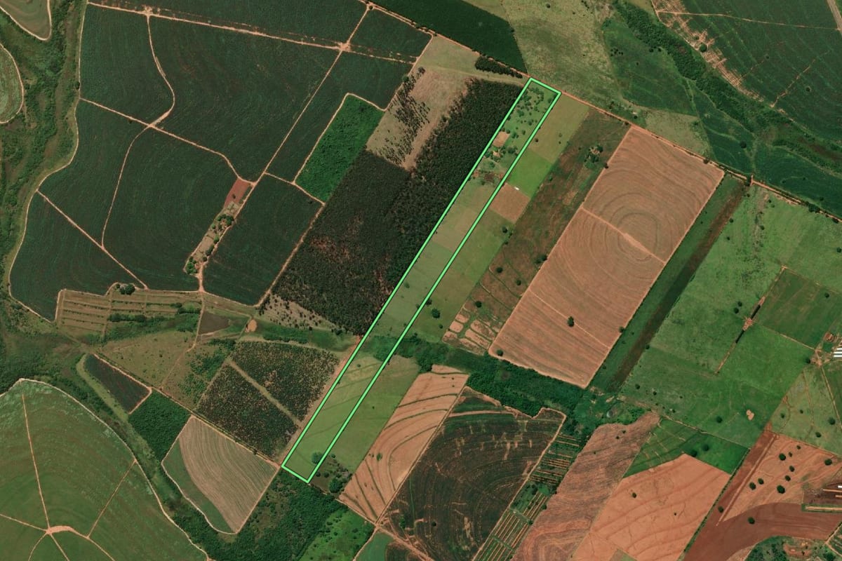 Imagem de satélite do imóvel rural em Parapuã (SP), com o contorno declarado no CAR desenhado por cima.
