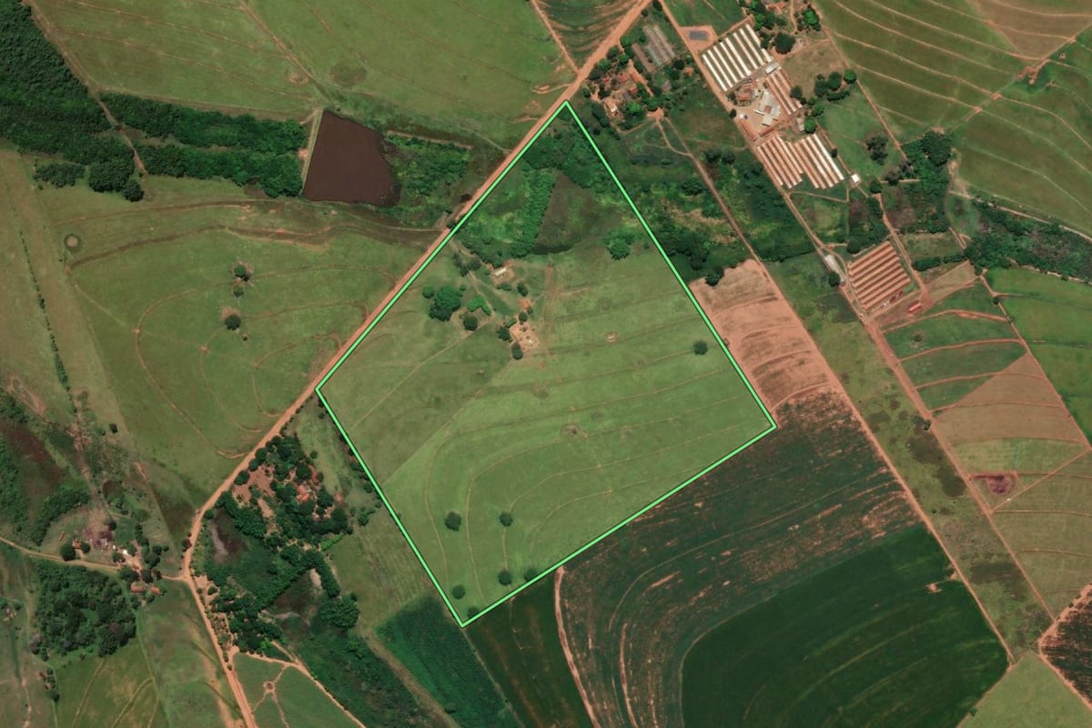 Imagem de satélite do imóvel rural em Parapuã (SP), com o contorno declarado no CAR desenhado por cima.