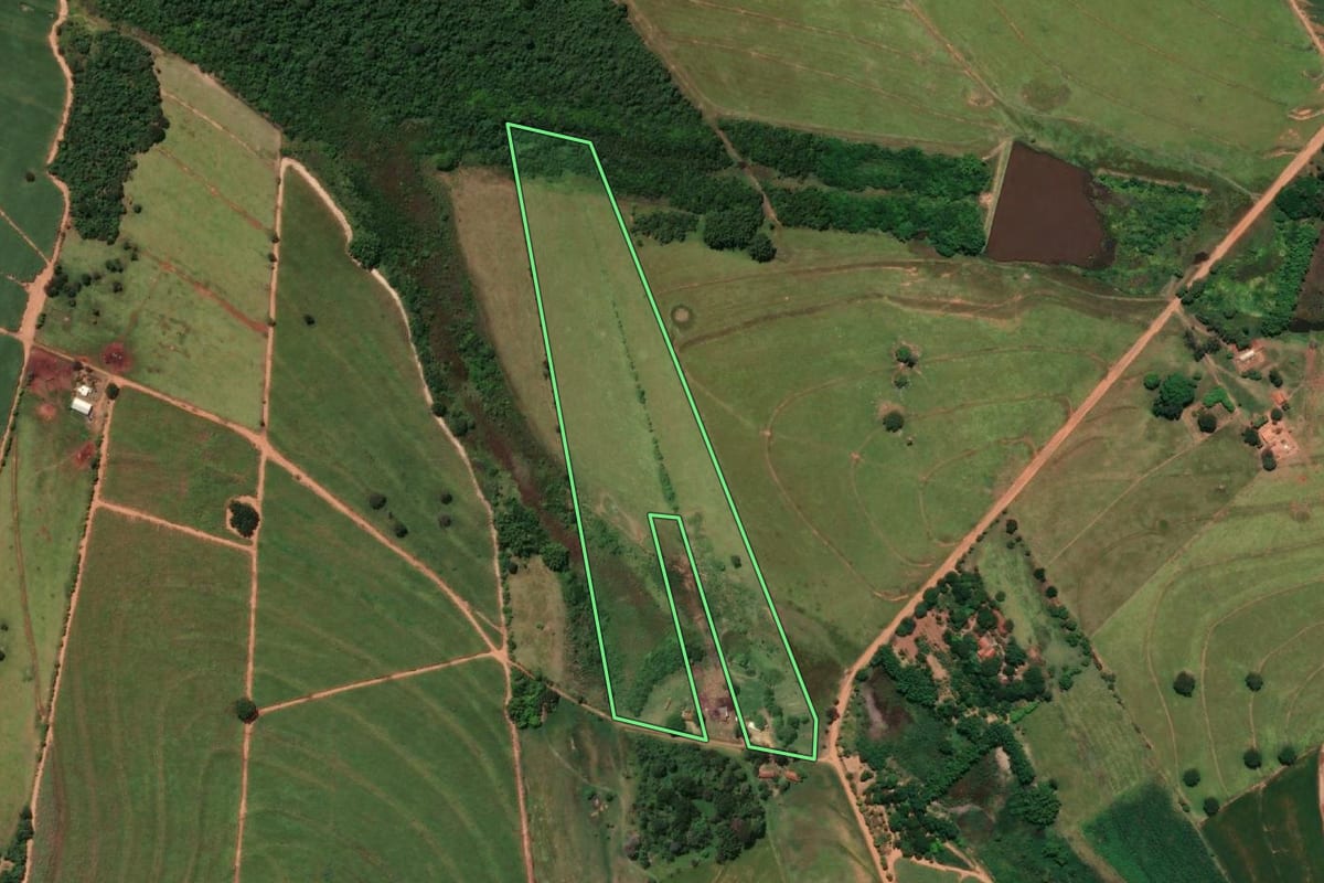 Imagem de satélite do imóvel rural em Parapuã (SP), com o contorno declarado no CAR desenhado por cima.