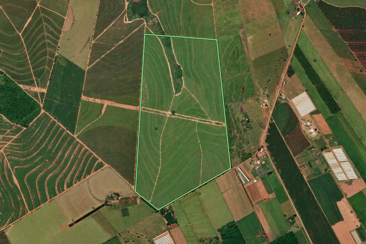 Imagem de satélite do imóvel rural em Parapuã (SP), com o contorno declarado no CAR desenhado por cima.