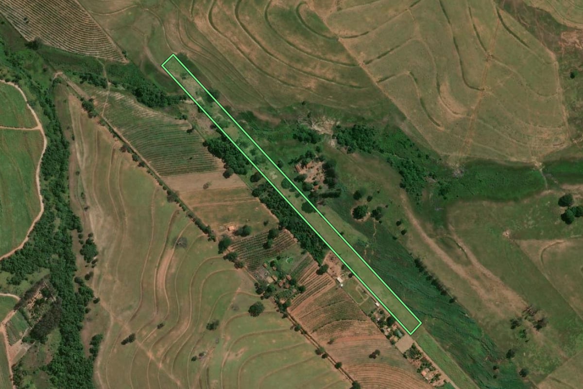 Imagem de satélite do imóvel rural em Parapuã (SP), com o contorno declarado no CAR desenhado por cima.