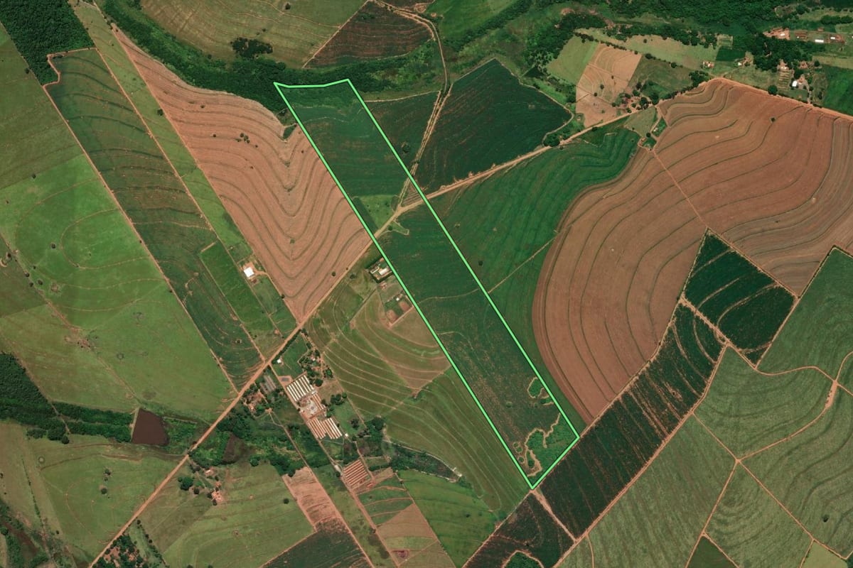 Imagem de satélite do imóvel rural em Parapuã (SP), com o contorno declarado no CAR desenhado por cima.