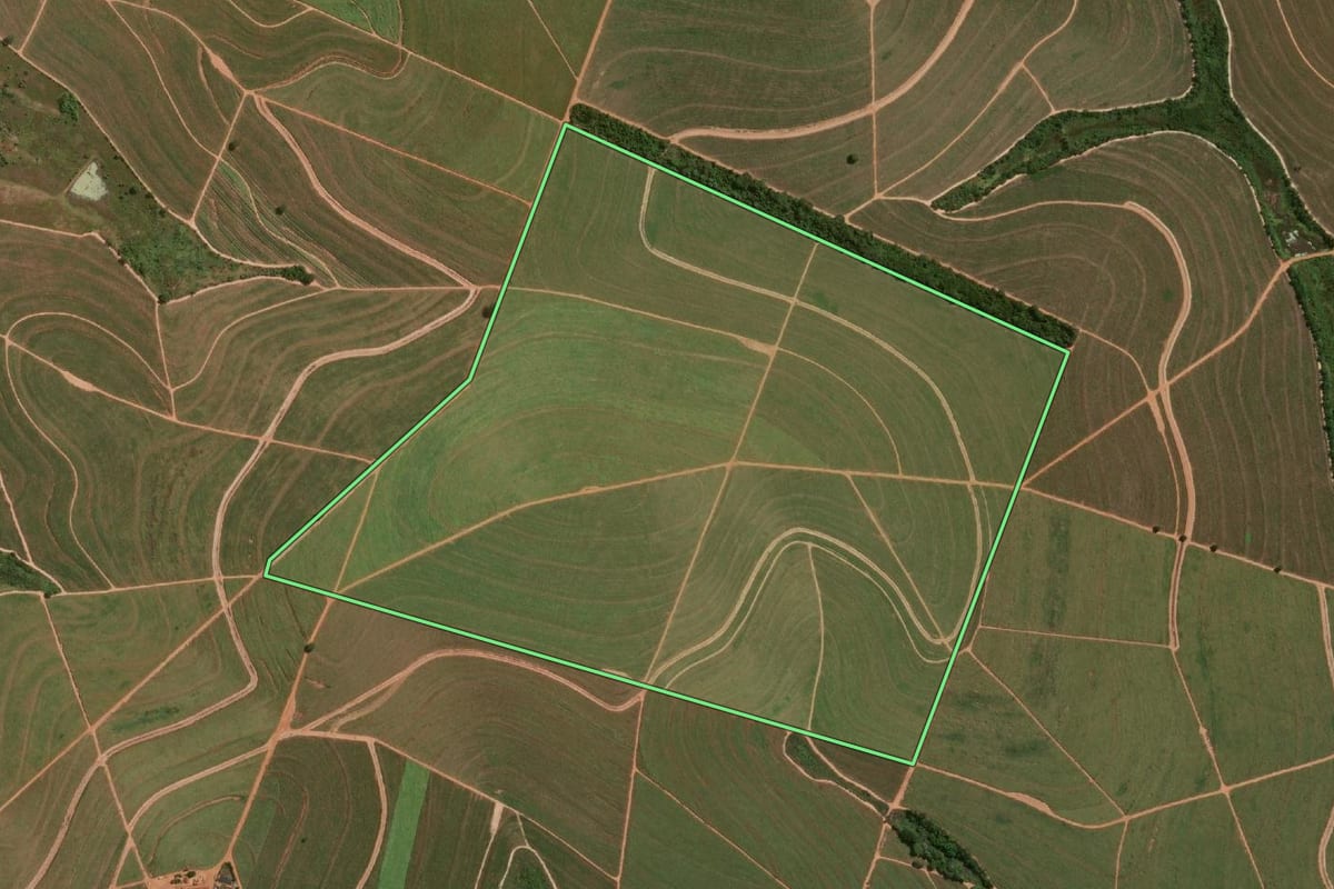 Imagem de satélite do imóvel rural em Parapuã (SP), com o contorno declarado no CAR desenhado por cima.