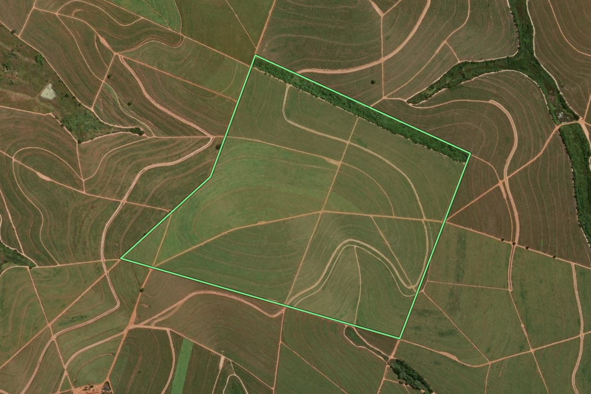 Imagem de satélite do imóvel rural em Parapuã (SP), com o contorno declarado no CAR desenhado por cima.