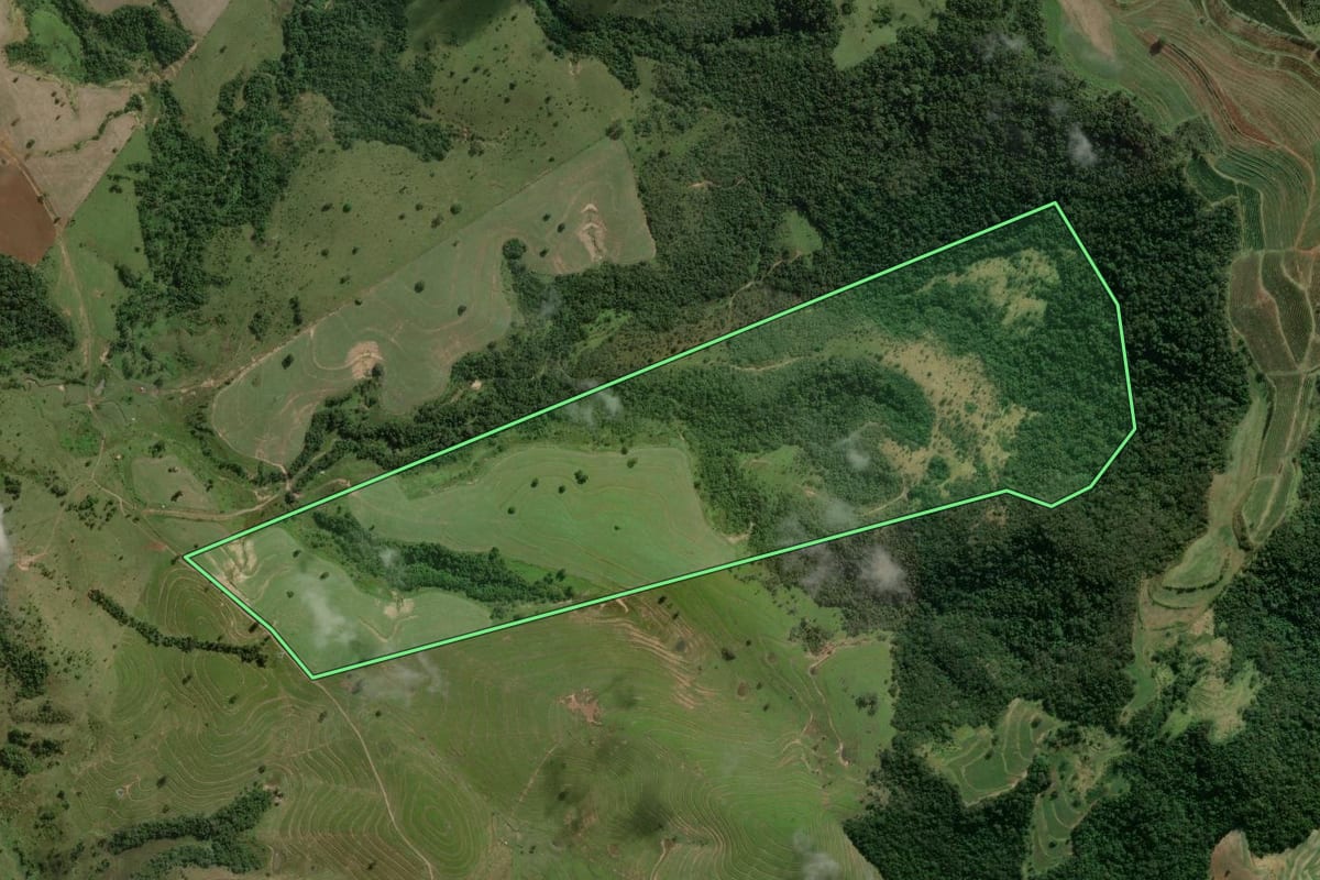 Imagem de satélite do imóvel rural em Pardinho (SP), com o contorno declarado no CAR desenhado por cima.