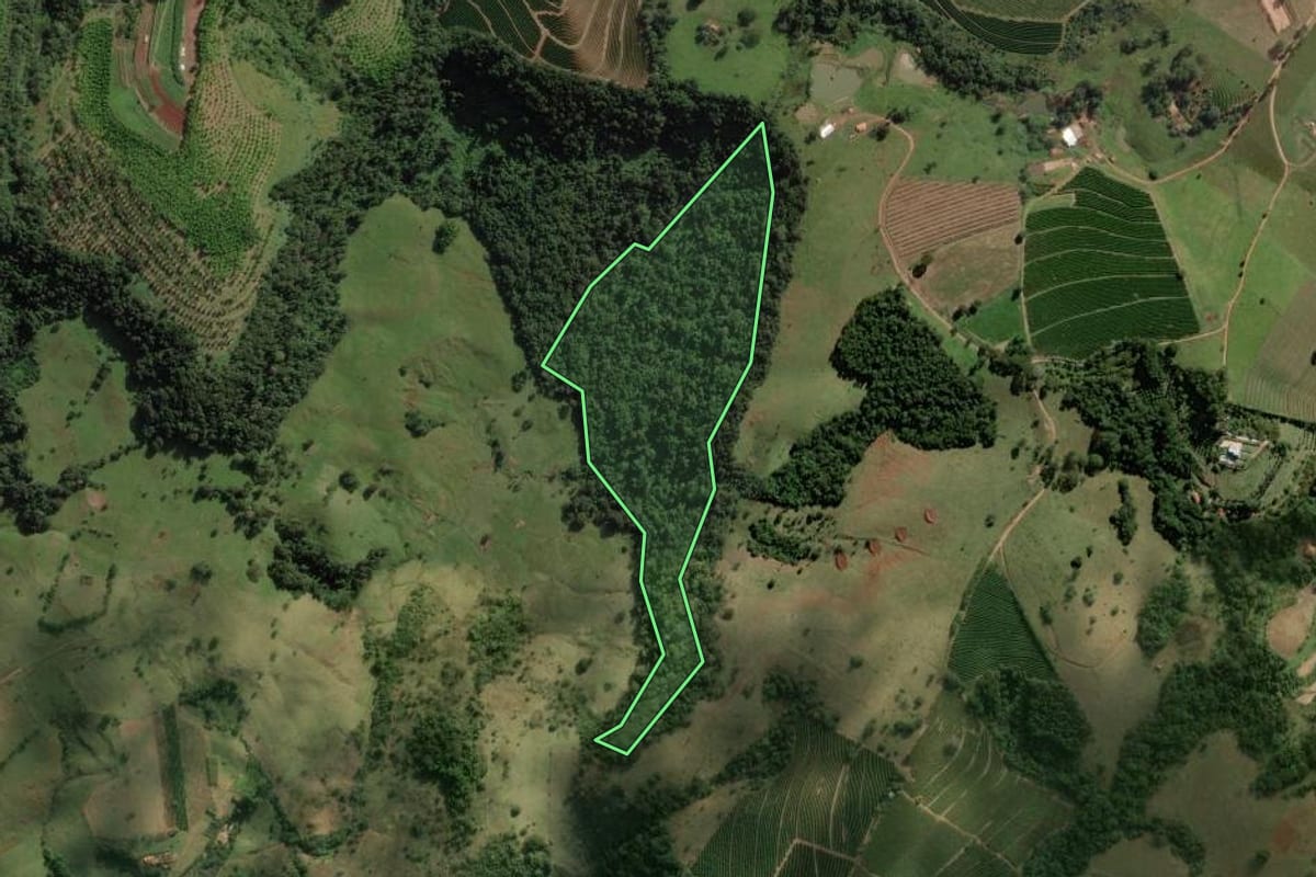 Imagem de satélite do imóvel rural em Pardinho (SP), com o contorno declarado no CAR desenhado por cima.