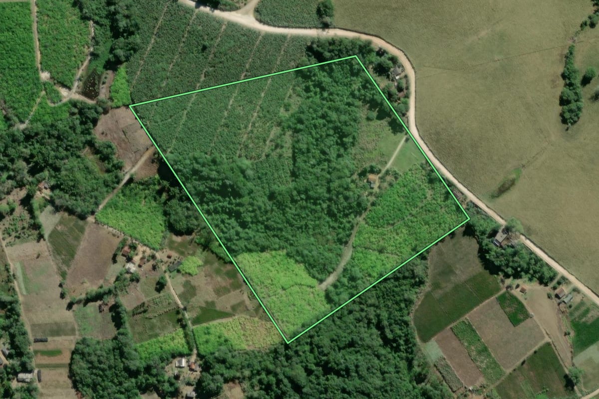 Imagem de satélite do imóvel rural em Pariquera-Açu (SP), com o contorno declarado no CAR desenhado por cima.