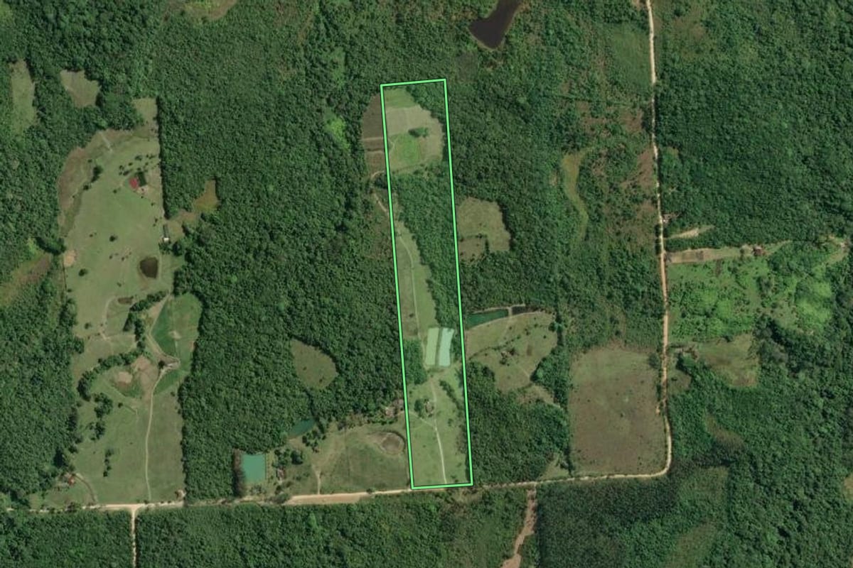 Imagem de satélite do imóvel rural em Pariquera-Açu (SP), com o contorno declarado no CAR desenhado por cima.
