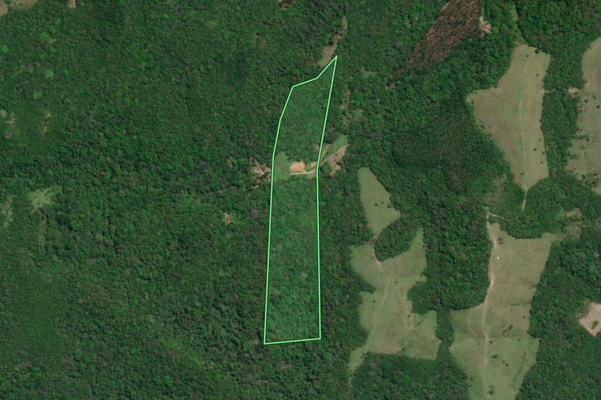 Imagem de satélite do imóvel rural em Pariquera-Açu (SP), com o contorno declarado no CAR desenhado por cima.