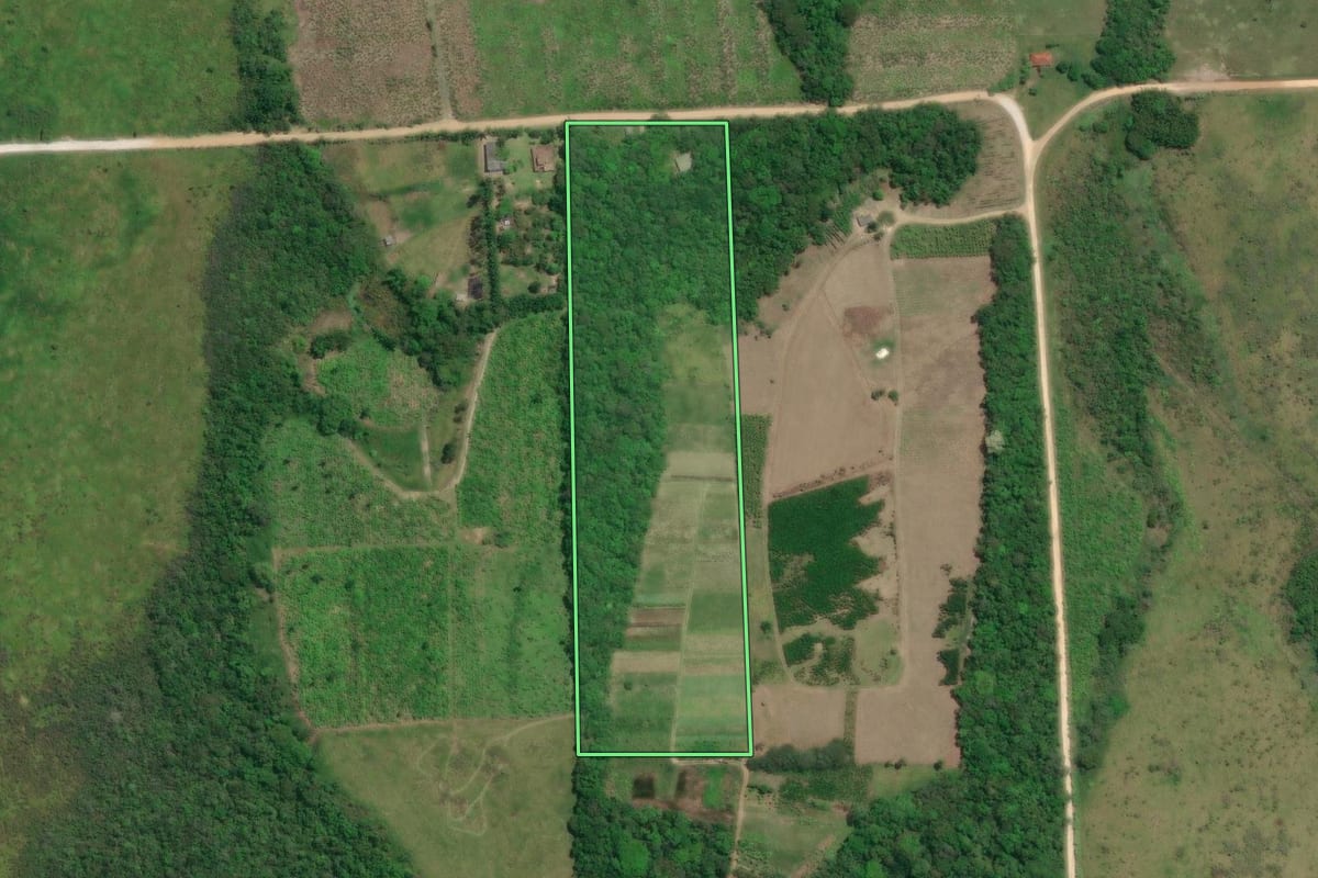 Imagem de satélite do imóvel rural em Pariquera-Açu (SP), com o contorno declarado no CAR desenhado por cima.