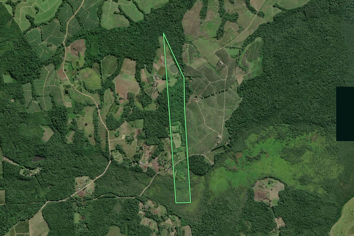 Imagem de satélite do imóvel rural em Pariquera-Açu (SP), com o contorno declarado no CAR desenhado por cima.