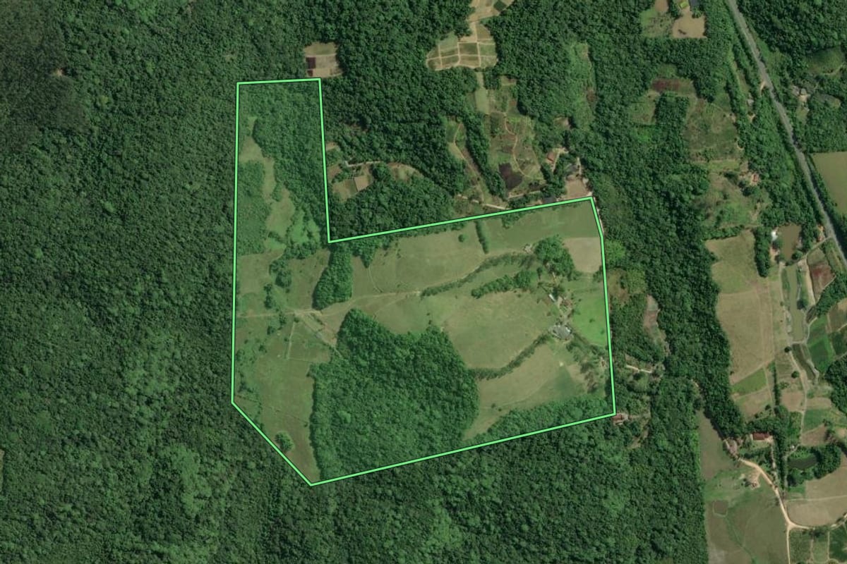 Imagem de satélite do imóvel rural em Pariquera-Açu (SP), com o contorno declarado no CAR desenhado por cima.