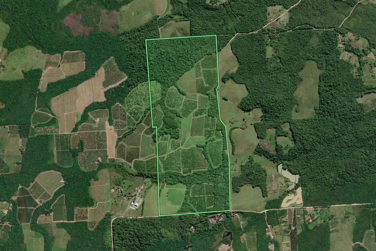 Imagem de satélite do imóvel rural em Pariquera-Açu (SP), com o contorno declarado no CAR desenhado por cima.